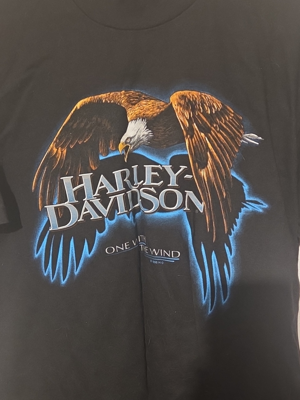 Harley-Davidson Men's Black Eagle Graphic Tee - Black